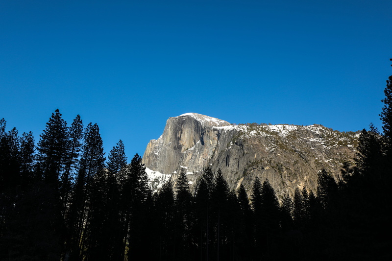 plant, tranquil scene, yosemite, fir, cliff, clear sky, no people, nature, scenics - nature, mountain peak, yosemite valley, land, happy isle loop rd, mountain