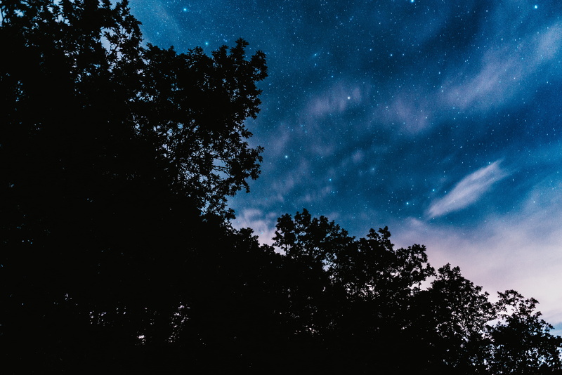 flora, space and astronomy, blue, 5K, tranquil scene, tranquility, dirt road, evening, night, star - space, pine, plant, star field, looking up, star