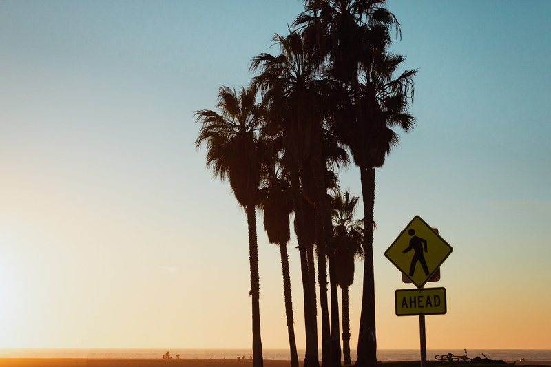 sign, california, no people, communication, road, tree, arecaceae, sun, sky, tropical, venice, road sign, summer, warning sign, guidance, los angeles, text