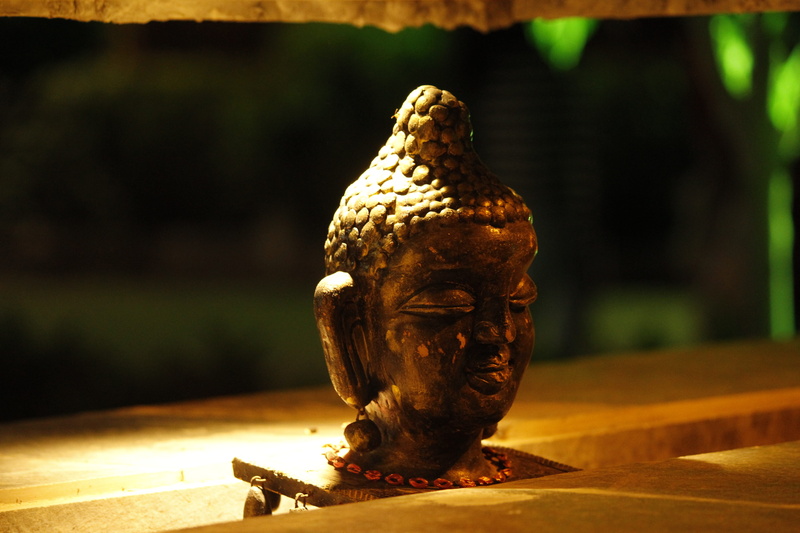 statue, sculpture, historical, antique, focus on foreground, animal themes, close-up, religion, human representation, belief, asia, Buddhism, reflection