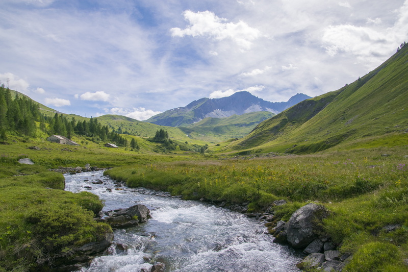 alps, surrounded, land, valley, vacations, river, plant, alm, flowing, italy, no people, tranquil scene, green color, tranquility, beauty in nature, green