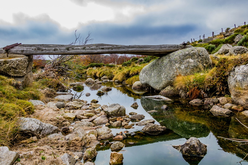 mountain, cloud - sky, rivers, lozere, environment, forest, tranquility, land, trees, rock - object, beauty in nature, 5K, rock, flowing water, colors
