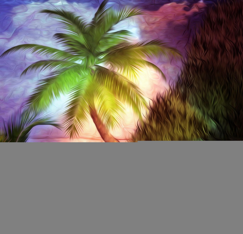2K, landscapes, coconut-tree, green, cool, lovely, beautiful, softness-beauty, palm, painting, other, coconut, tree, nature, colors, grass, steep, sunset