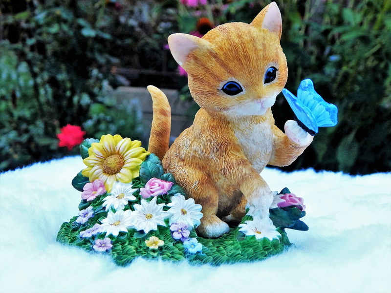 stuffed toy, warm, animal themes, outdoors, cute cat, soft, flower head, playful, cheerful, lovable, mammal, little, funny animals, tail, adorable, cute