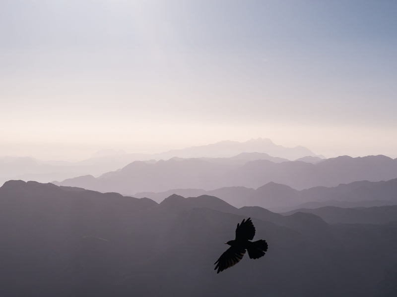 landscape photography, nature, mountain, berchtesgaden, bird, landsape, dawn, mountains, silhouette, scenics, black and white, outdoors, germany, outdoor