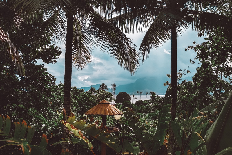 day, tree, tourism, water, palm trees, growth, daytime, outdoors, palm leaves, clouds, 4K, tree trunk, cloud - sky, scenic, surrounded, plant part, nature