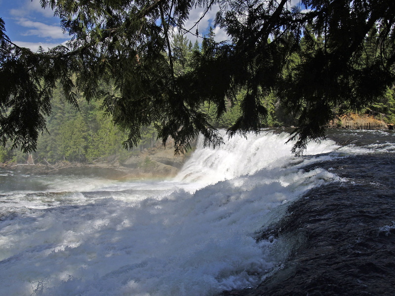 scenery, land, british columbia, plant, flowing, day, power in nature, motion, outdoors, flowing water, power, dawson falls, sky, no people, water, nature