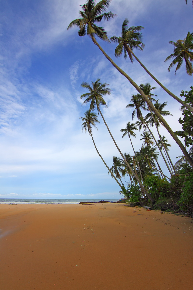 water, island, cloud - sky, ocean, coconut trees, 2K, tropical climate, summer, coastline, clouds, travel, landscape, trees, plant, land, seashore, vacation