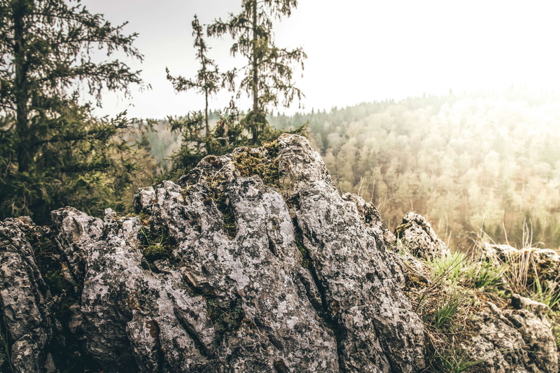 plant, tranquility, day, land, solid, rock - object, tranquil scene, sky, scenics - nature, field, landsape, no people, growth, clear sky, rock, beauty in nature