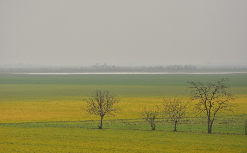 no people, lake, tranquility, water, 5K, scenics - nature, sky, land, grass, Nature, hungarian, plant, environment, non-urban scene, Field, landsape, Landscape