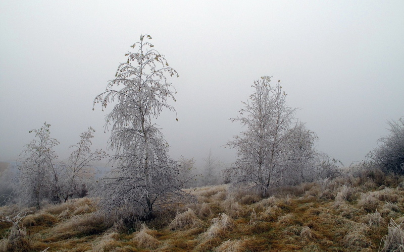 landscape, area, view, landsapes, nature, look, sky, beautiful, 1080P