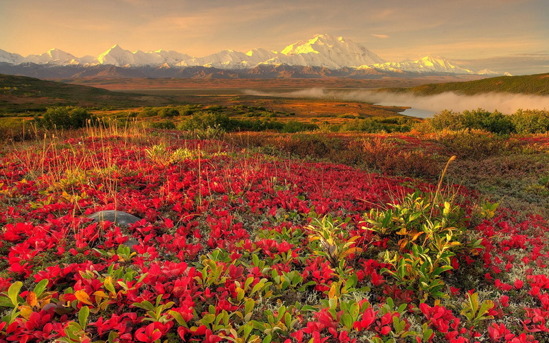 1080P, view, beautiful, nature, area, landsapes, landscape, look, sky