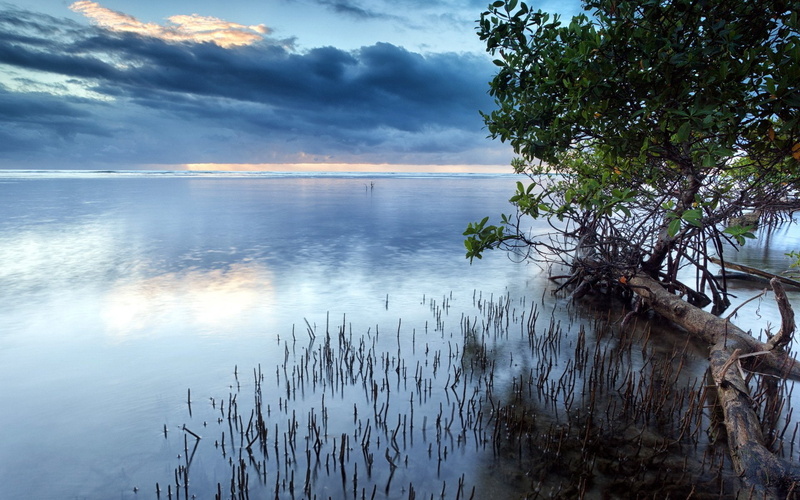 beautiful, landscape, area, nature, view, landsapes, sky, 1080P, look