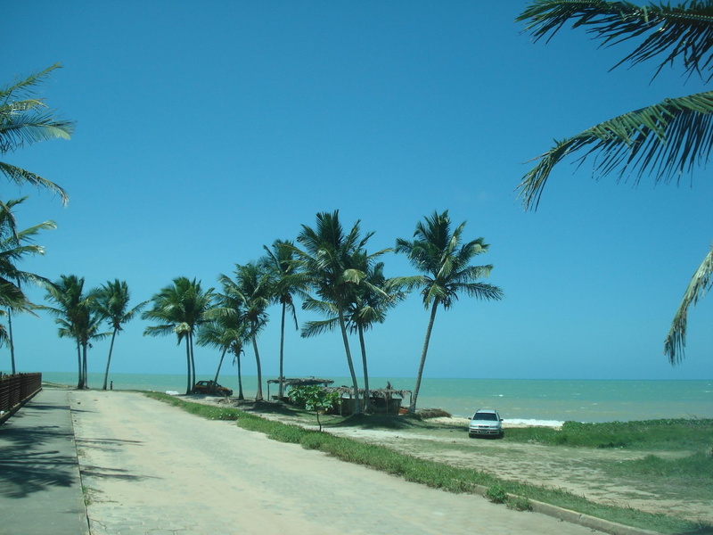 bahia, brazil, 3d and abstract, water, sand, palm trees, 1080P, beach, prado