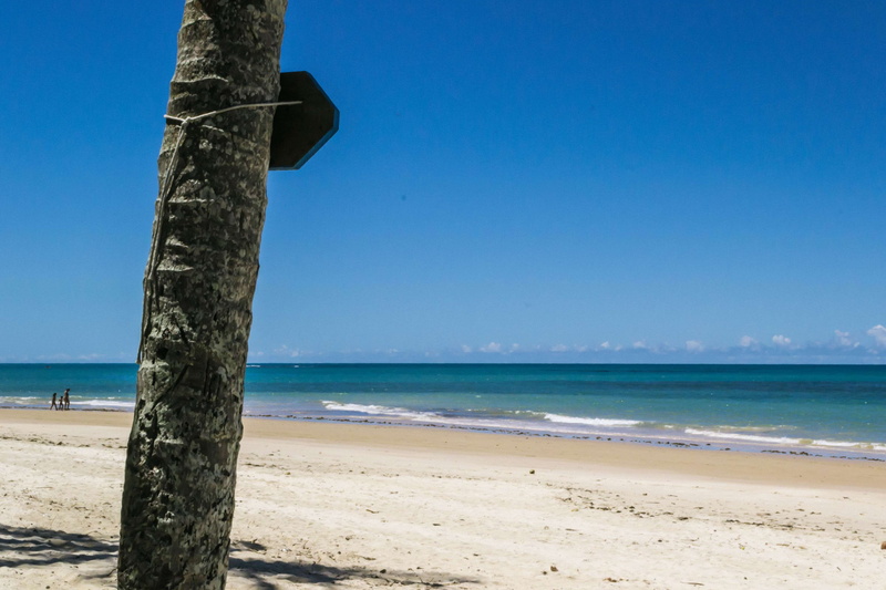blue sky, trancoso, land, sky, tranquil scene, tree trunk, outdoors, blue, bahia, beach, trunk, turquoise colored, wooden post, clear sky, ocean, nature