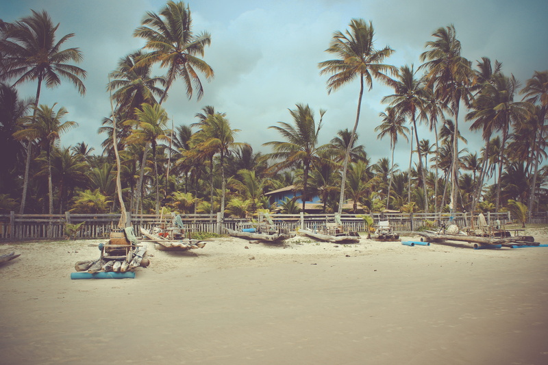 transportation, beach, land, coconut palm tree, moored, outdoors, nature, mode of transportation, plant, bahia, tropical tree, day, tranquil scene, sky