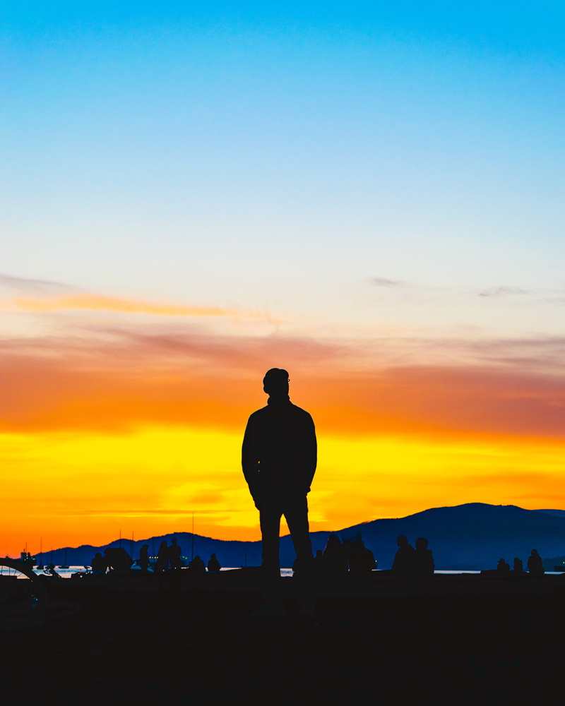 stare, lifestyles, orange color, beauty in nature, silhouette, tranquil scene, idyllic, standing, boss, leisure activity, sunset, land, 4K, cloud - sky