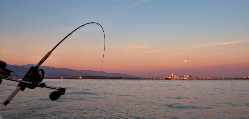 one person, moon, sunset, land, scenics - nature, fish, fishing pole, trolling, sky, waterfront, angler, charter, real people, vancouver, summer, vacation