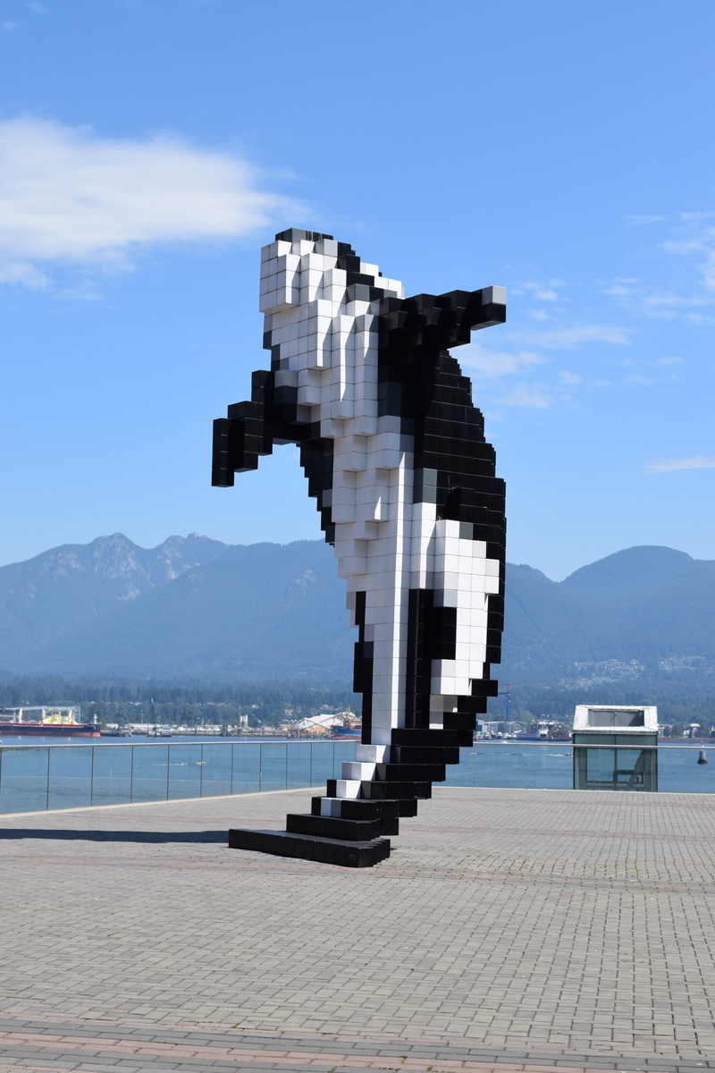 day, cloud - sky, Whale, Tourism, building exterior, beauty in nature, water, coastline, nature, Vancouver, bc, Mountains, sunlight, waterfront, canada