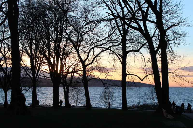 branch, bc, trunk, tranquil scene, sky, beauty in nature, tranquility, vancouver, silhouette, no people, plant, scenics - nature, beach, kitsilano beach