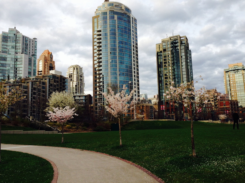tower, landscape, canada, tall - high, financial district, outdoors, architecture, built structure, tree, office building exterior, skyscraper, building Exterior