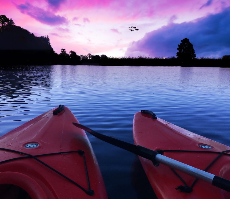 beauty in nature, tranquility, sunsets, nautical vessel, mode of transportation, water, 2K, outdoors, bc, wzter, lake, no people, birds, tranquil scene