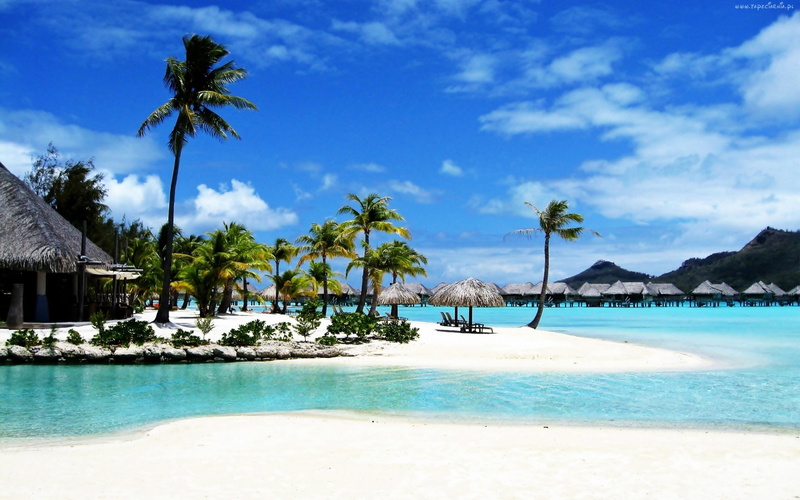 land, swimming pool, vacations, trip, coconut palm tree, beauty in nature, turquoise colored, tahiti, tourist resort, travel destinations, no people, sky