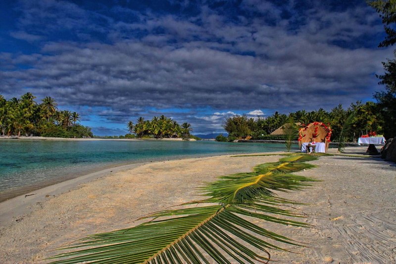 tree, islands, beach, ocean, sand, exotic, leaf, tahiti, polynesia, leaves, tropical, luxury, palm, island, paradise, bora, 2K, bora-bora