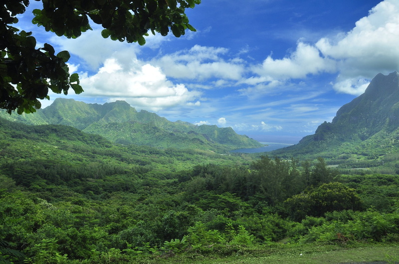 Tropics, Landscape, Moorea, 1080P, Earth, Island, Tahiti, French Polynesia