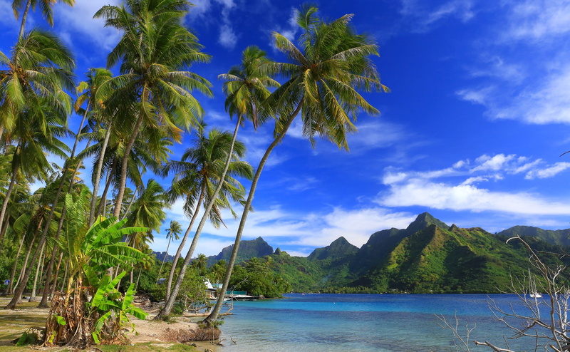 Taahiamanu Beach, Pacific Ocean, French Polynesia, The Pacific ocean, the island of Moorea, coast, the ocean, tropics, 2K, mountains, palm trees, Moorea
