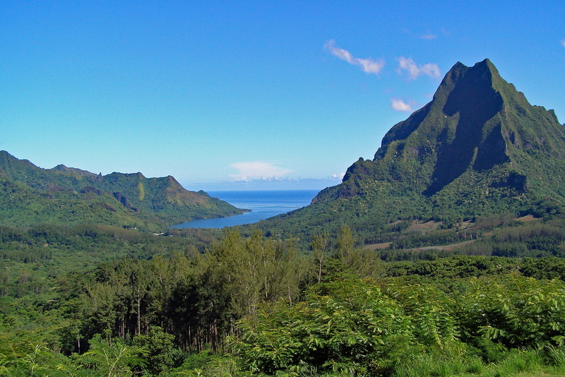 non-urban scene, outdoors, tranquility, coast, tranquil scene, Polynesia, landscape, no people, Moorea, beauty in nature, growth, Society, sea, tree, mountains