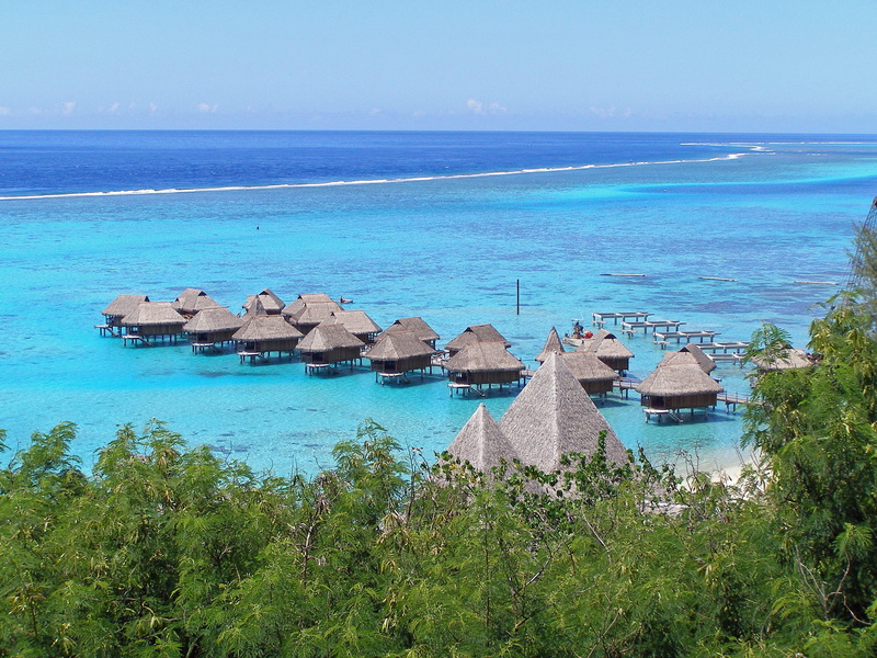 tranquility, 2K, plant, paradise, Moorea, french, land, no people, horizon, Society, travel, beauty in nature, scenics, horizon over water, island, lagoon