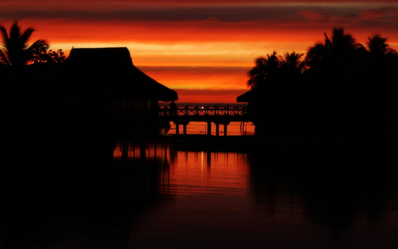 moorea, outdoors, silhouette, plant, tranquility, 2K, water, reflection, tranquil scene, sky, beauty in nature, orange color, tree, architecture, cloud - sky