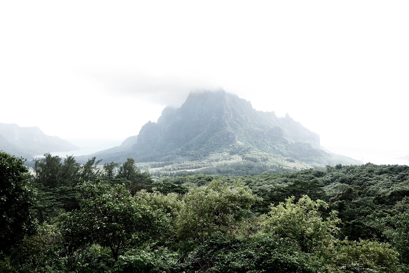 plant, trees, non-urban scene, tranquility, mountain range, nature, environment, green color, no people, mountain, forest, sky, trip, tranquil scene, moorea