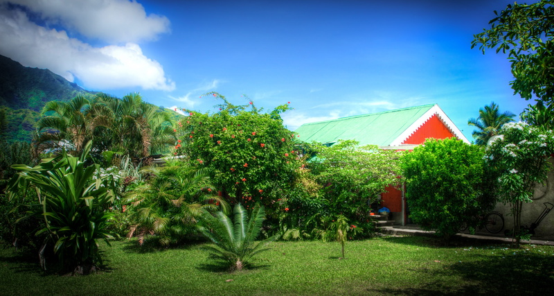 agriculture, growth, 5K, outdoor, tranquility, Nature, palm tree, no people, cloud - sky, moorea, green color, architecture, tropical climate, Mountain