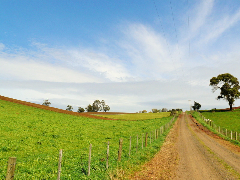 movement, farm, scenics, tranquility, near, sky, agriculture, journey, travel, discovery, narrow, adventure, vacation, scenics - nature, dom, beauty in nature