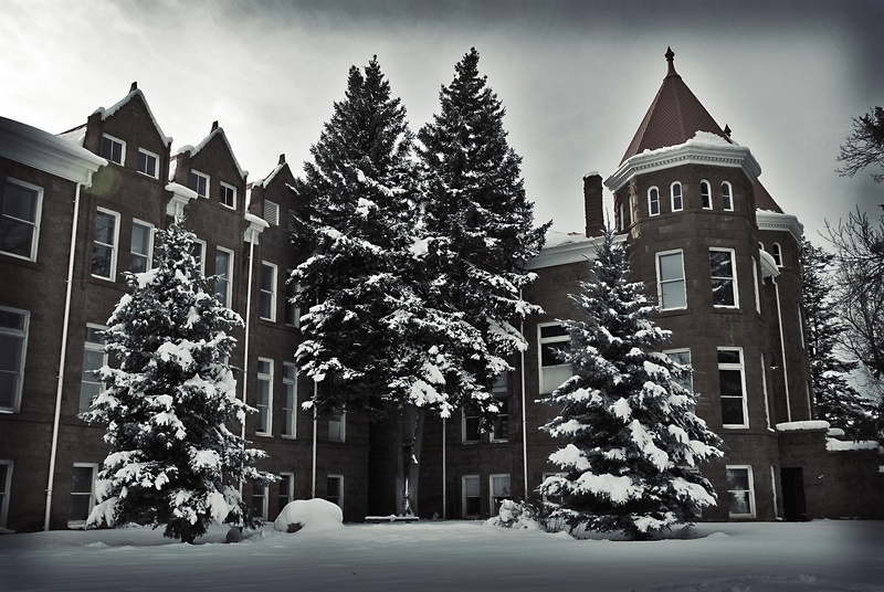christmas tree, outdoors, winter, tree, architecture, 4K, trees, no people, built structure, old main, city, building exterior, religion, united states