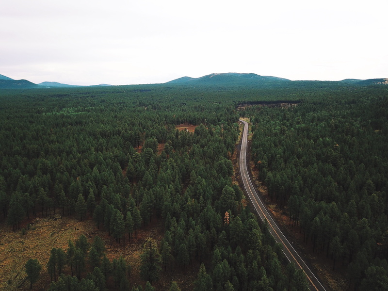non-urban scene, united states, nature, no people, outdoors, rural scene, scenics - nature, 4K, mountains, plant, ponderosa, flagstaff, sky, road, transportation