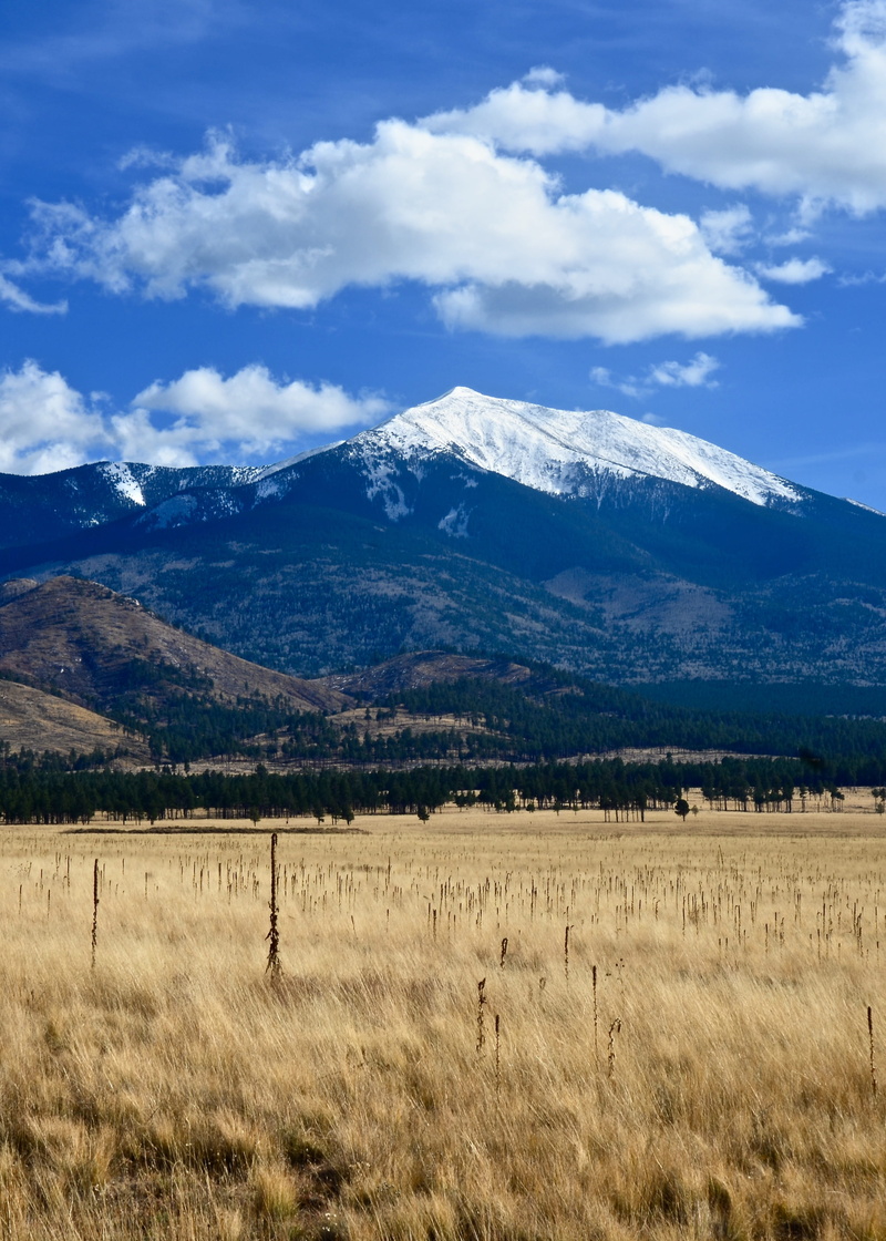 natural, tranquility, flagstaff, Landscape, tourism, plant, non-urban scene, cloud - sky, adventure, outdoor, arizona, forest, calm, park, beauty in nature