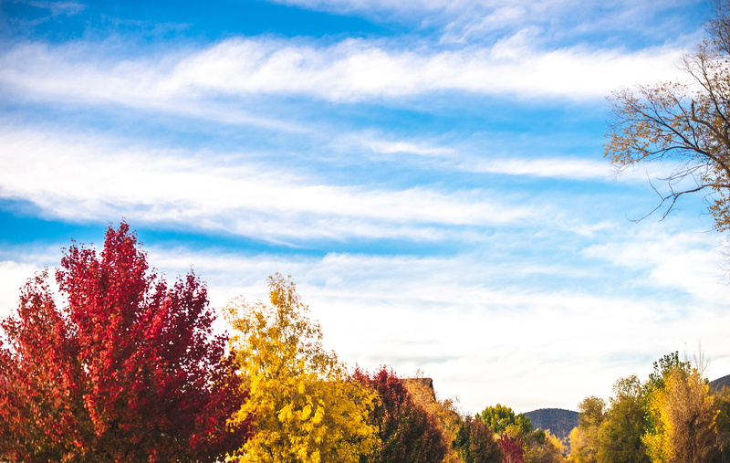 red, sky, growth, tranquility, land, day, flagstaff, no people, change, scenics - nature, leaf, beauty in nature, low angle view, united states, tree, yellow