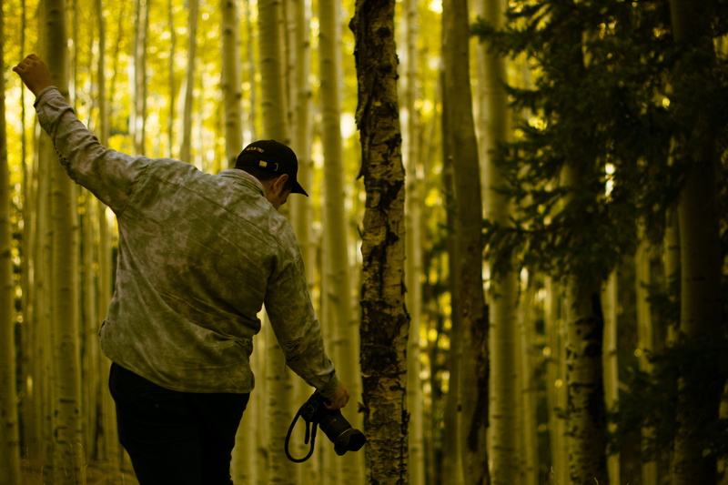 united states, plant, candid, flagstaff, trunk, 5K, art of visuals, rear view, lockett meadow campground, portrait, men, three quarter length, one person