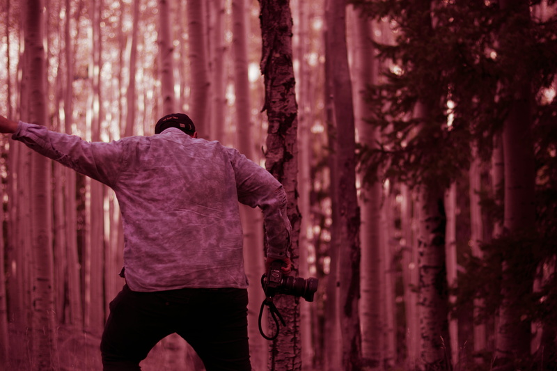 men, candid, plant, casual clothing, lifestyles, woodland, tree trunk, real people, purple, standing, three quarter length, portrait, 5K, tree, united states