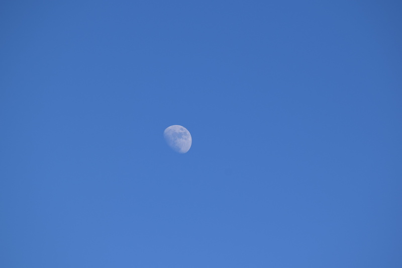 photo, moonlight, 5K, craters, blue sky, tranquility, space exploration, outdoors, space, low angle view, day moon, day, orbit, copy space, moon, celestial