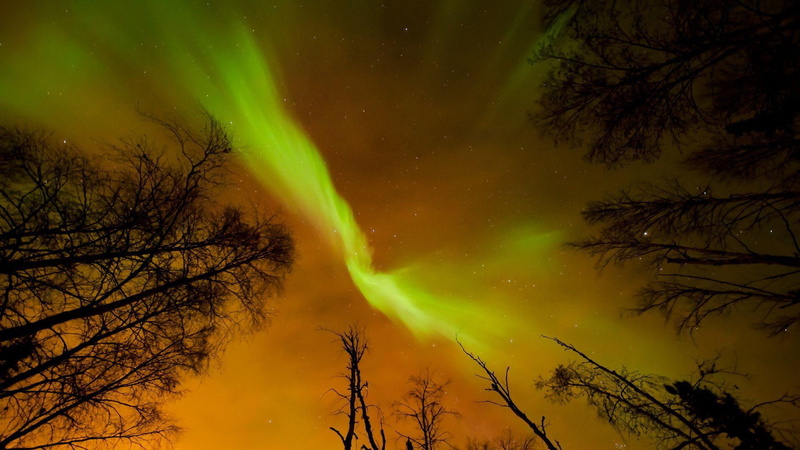 northern lights, 1080P, green, nature, aurora, lights, forest, 1920x1080, borealis, aurora borealis, neon