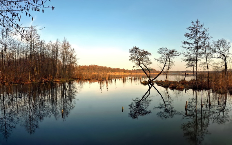 water, Reflaction, 1080P, nature, hd