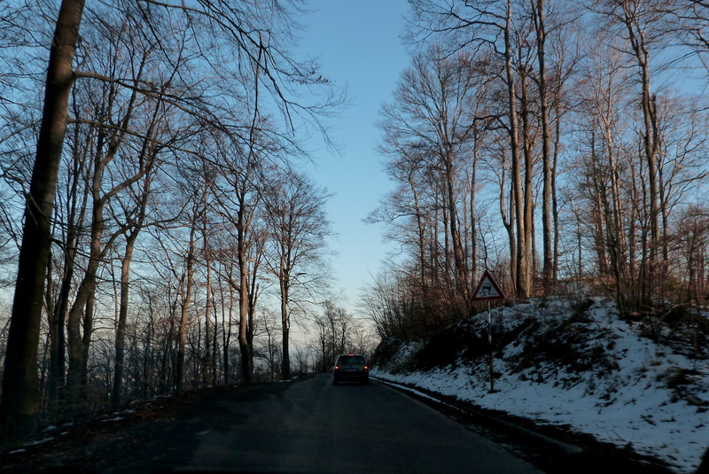 flora, road, wooden, dark, cars, woods, day, grasses, 4K, bare tree, land vehicle, outdoors, trees, winter, climate, blue, scenics - nature, snowy, beauty in nature