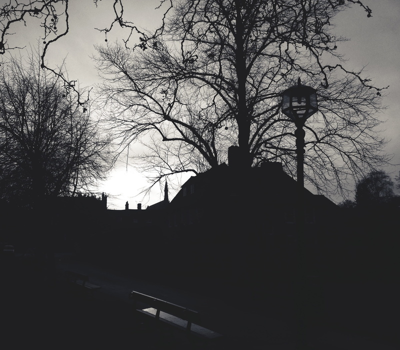 silhouette, dark, no people, building, branch, winter, season, tree, white, 2K, light, monochrome, black, mist, nature, fog, monochrome photography, dawn