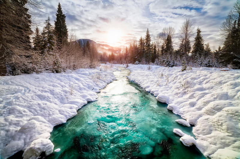 tree, 1080P, idyllic, snow, photo, Canada, water, snowfield, frozen, pine trees, ice, tranquil scene, cold temperature, no people, river, white color