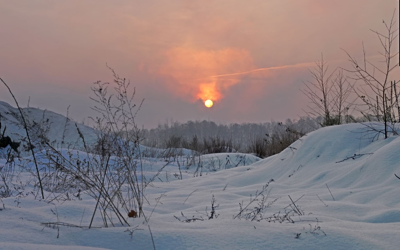 plant, cold - Temperature, woodland, nature, cloud - Sky, white, covering, land, outdoors, sky, season, scenics - nature, sunset, landscape, winter, ice