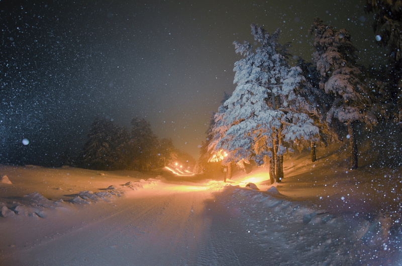 cold temperature, snowfield, no People, sunlight, dark, night, winter, road, christmas, illuminated, beauty In Nature, cold - Temperature, outdoors, tree